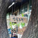 천왕농원 이미지