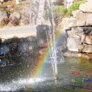 무지개 사슴농장 이미지