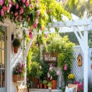 장미정원 이미지