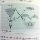 신법농장 | (181) 내 몸은 내가 고친다 - 금오 김홍경