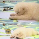 안녕하세요 이미지