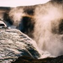 둥굴레차의 효능과 카페인, 부작용에 대해 알아보기 이미지