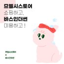 뽀송뽀송 애견미용 이미지