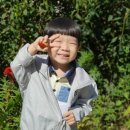 청춘스크린 이미지