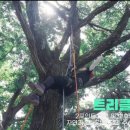 (주)초원
