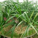 길상초등학교 이미지