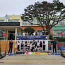 한국티볼연맹 OSEN