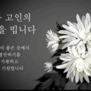 사평중13회 재경총무 신정아시부모상 이미지