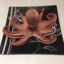 신석기추어탕 | 180727~180915일상