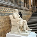 타우르스 | 런던 자연사박물관 예약 입장 관람 후기, 동선 추천 코스 정리