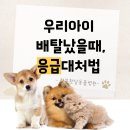 청북 햇살동물병원 이미지