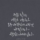 내인생의 봄날 이미지