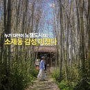 대전 소제동 카페거리 감성 미쳤다.. 풍류소제 다녀온 후기