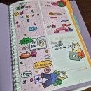 P-5E06 | [NCLEX/06] NCLEX 80일 완성(기적이라고 부를래요) / 눈물의 공부법..