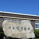 안면초등학교 이미지