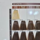 가빈 | 운정미용실 아이디헤어 디자인컷&amp;클리닉 후기(가빈 디자이너)