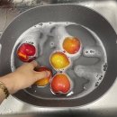 혜영농장 이미지