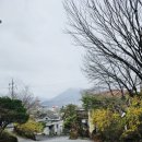 우리밀팔도짜장 이미지