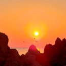 김서방 대게민박 이미지