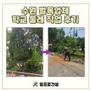 수원시민과 학생을 위한 지역과 학교 벽 깨기 | 수원 벌목업체 학교 둘레 작업 후기