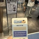 씨유향동두산제일점 | [두산베어스] 두타몰 &#39;코드명 썸머캠프:망곰이의 훈련기&#39; 방문후기/내돈내