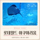 빛의 열주 | 서울 가볼만한곳 롯데월드 아쿠아리움ㅣ아이와함께 실내 나들이·입장권·요금·할인·주차·신규전시...