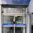 메종 드 캣 | 광주 진월동 고양이 무마취 미용 5년째 찐후기 “메종드캣”