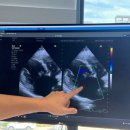 인천동물심장내과 이미지