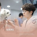 하이응급동물메디칼센터 | FIP 고양이 전염성 복막염 치료 후기 [24시 노아동물메디컬센터 진료케이스]