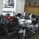 MAN MOTORS 이미지