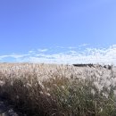 가은농장 | 뒤늦게 쓰는 제주도 여행 후기