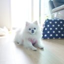 금호스타힐스엔에이치에프 6단지 이미지