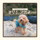 달빛강가 | 전북 무주 굴암교 노지캠핑 | 강변 힐링 차박 캠핑 명소 후기