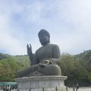 태조산관광지 | 천안 아산 1박2일 여행 코스 총정리 [삼성여행사 가성비 식도락 여행]