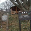 경기 안산 풍도 후망산(176m) 야생화 산행 #3 이미지