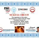 2026 Bangladeshi Seagull Circuit 금상 외 입선 이미지
