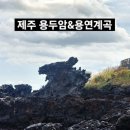용연 | 제주도 당일치기 나들이 제주공항과 가까운 관광지 용두암 용연계곡 용연구름다리 주차 주차비
