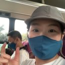 보보하우스