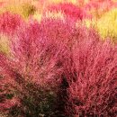 난지천공원 이미지