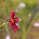 동인천고등학교 내 이미지