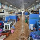 갈매기회센타 | [먹부림]전북 부안맛집 ㅣ 격포 어촌계 회센터 쭈꾸미 샤브샤브