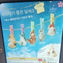 뽑고뽑고