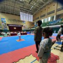 금빛 호랑이 태권도 이미지