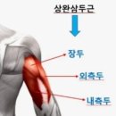 라운지휘트니스 이미지