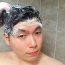 굳디컴퍼니