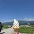 강가힐링민박 | 나고야 2일차 - 1 근교 소도시 투어(다카야마/시라카와고 마을)마이리얼트립 예약 찐후기