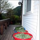 죽마고우 좋은 친구(매봉네 전원주택) 이미지