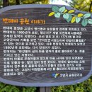 번데미 공원 이미지