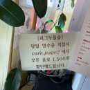 피그누들숩