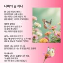 나비의꿈 이미지